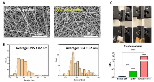 靜電紡絲：凝膠納米纖維直徑和機械性能分析