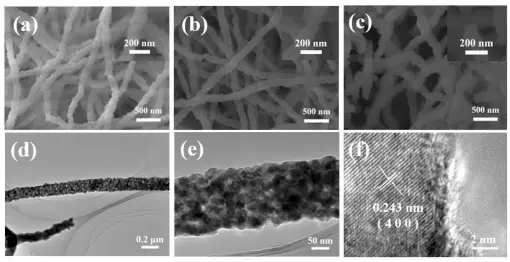 靜電紡絲：SEM和TEM圖